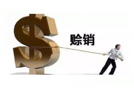 金昌为什么选择专业追讨公司来处理您的债务纠纷？